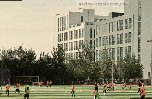 篮球入框瞬间定格的剪影